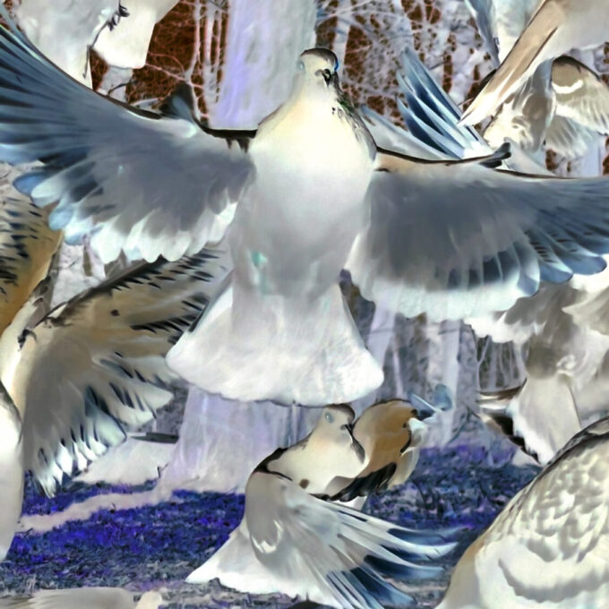 Doves flying up in the park on a sunny day close up.